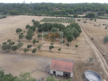 Terreno Agricola ou Rústico para Venda em Melides