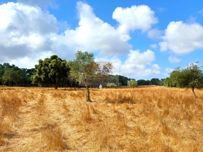 Terreno Agricola ou Rústico para Venda em Melides Foto 10