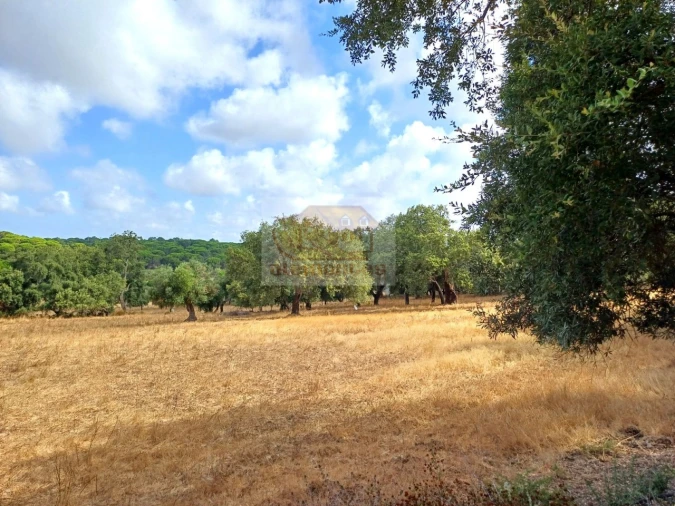 Terreno Agricola ou Rústico para Venda em Melides Foto 14