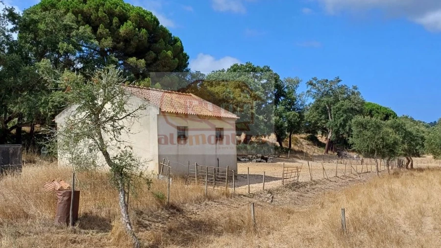 Terreno Agricola ou Rústico para Venda em Melides