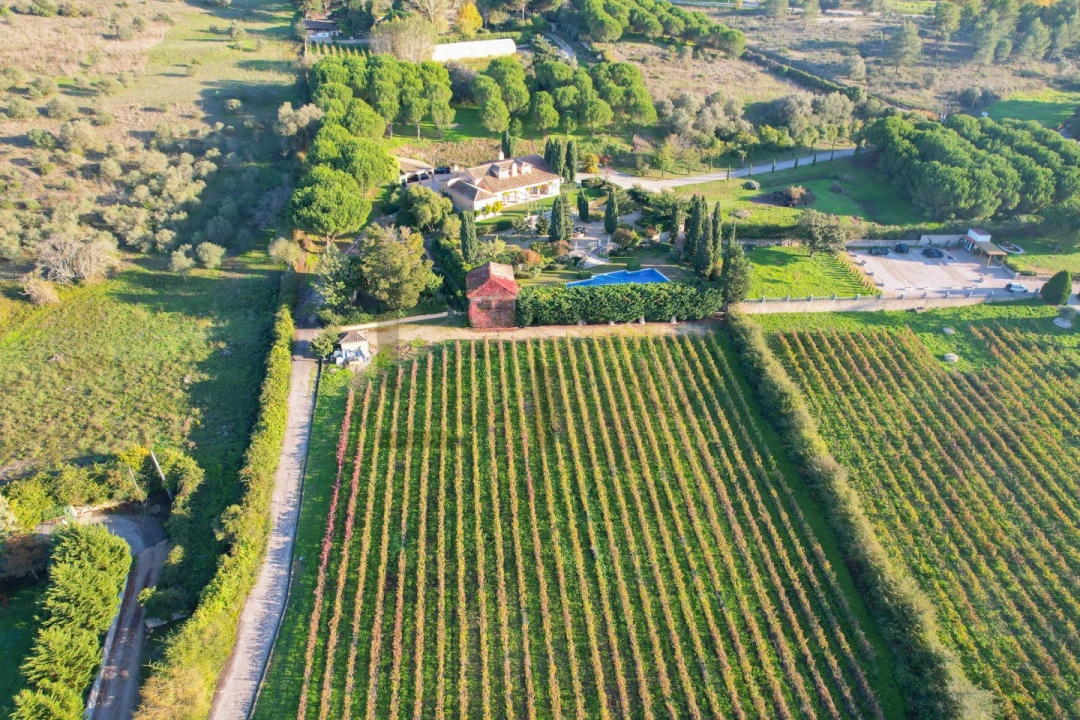 Quinta T5 para Venda em Azeitão (São Lourenço e São Simão) Foto 12