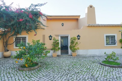 Quinta T5 para Venda em Azeitão (São Lourenço e São Simão)