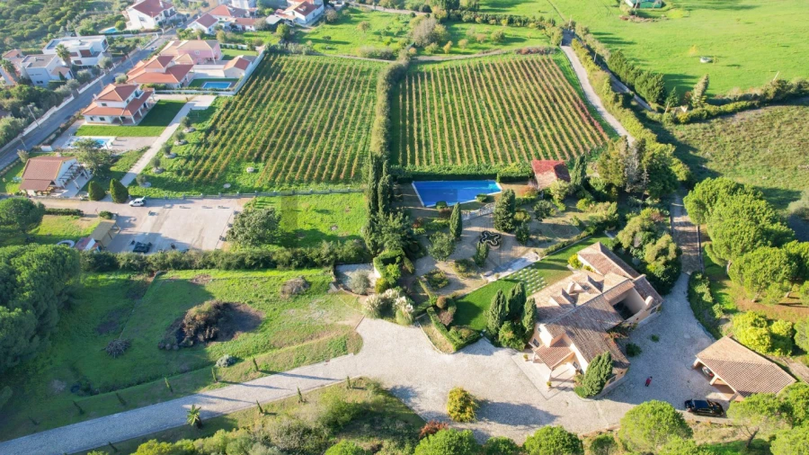 Quinta T5 para Venda em Azeitão (São Lourenço e São Simão)