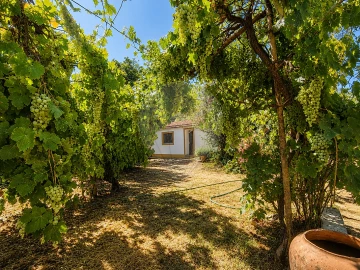 Quinta T2 para Venda em Nossa Senhora da Vila, Nossa Senhora do Bispo e Silveiras
