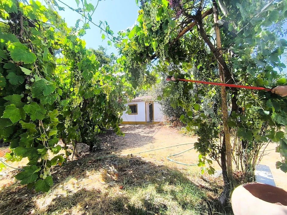 Moradia T2 para Venda em Nossa Senhora da Vila, Nossa Senhora do Bispo e Silveiras Foto 27