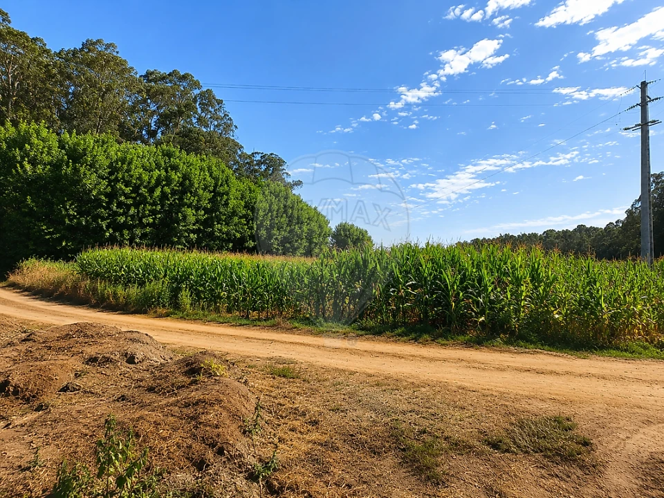 Terreno para Venda em Valega Foto 1