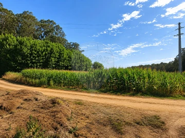 Terreno para Venda em Valega