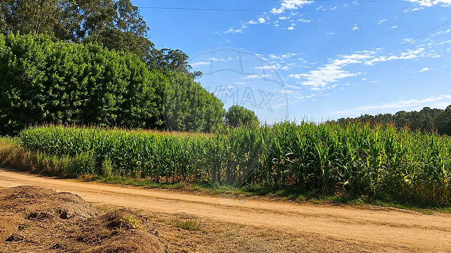 Terreno para Venda em Valega