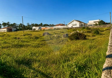 Negócio para Venda em Ovar, São João, Arada e São Vicente de Pereira Jusã