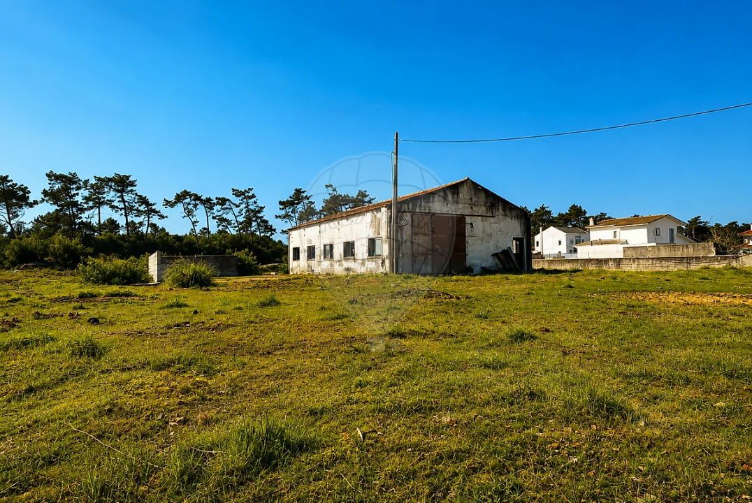Negócio para Venda em Ovar, São João, Arada e São Vicente de Pereira Jusã Foto 8