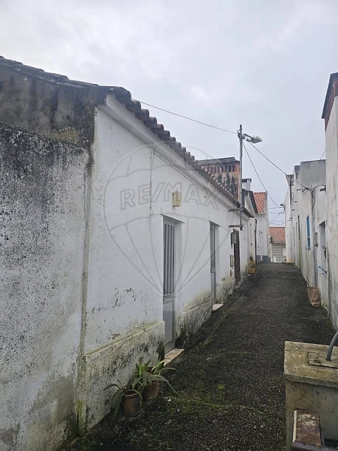Negócio para Venda em São Miguel do Rio Torto e Rossio Ao Sul do Tejo