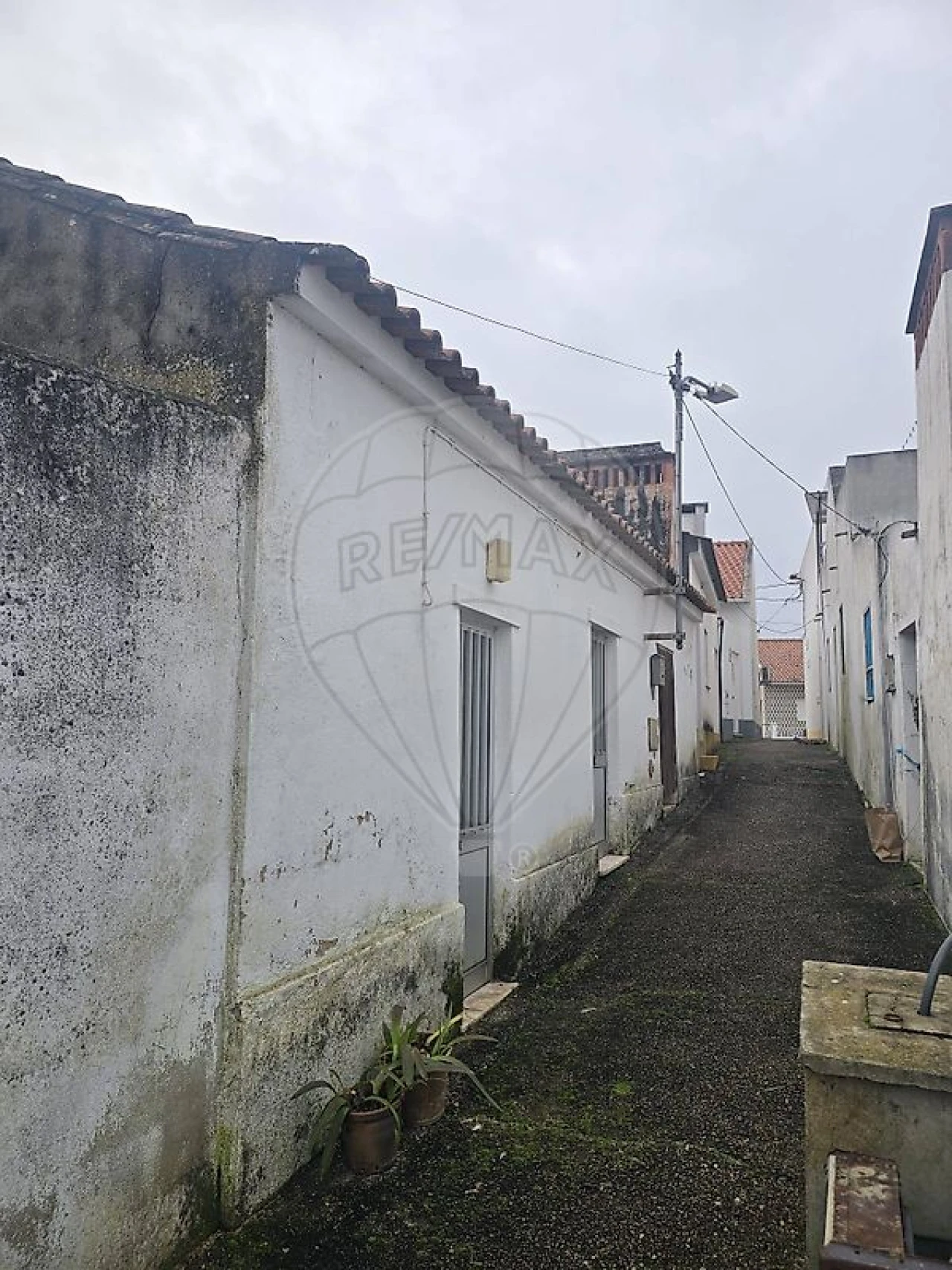 Negócio para Venda em São Miguel do Rio Torto e Rossio Ao Sul do Tejo Foto 5