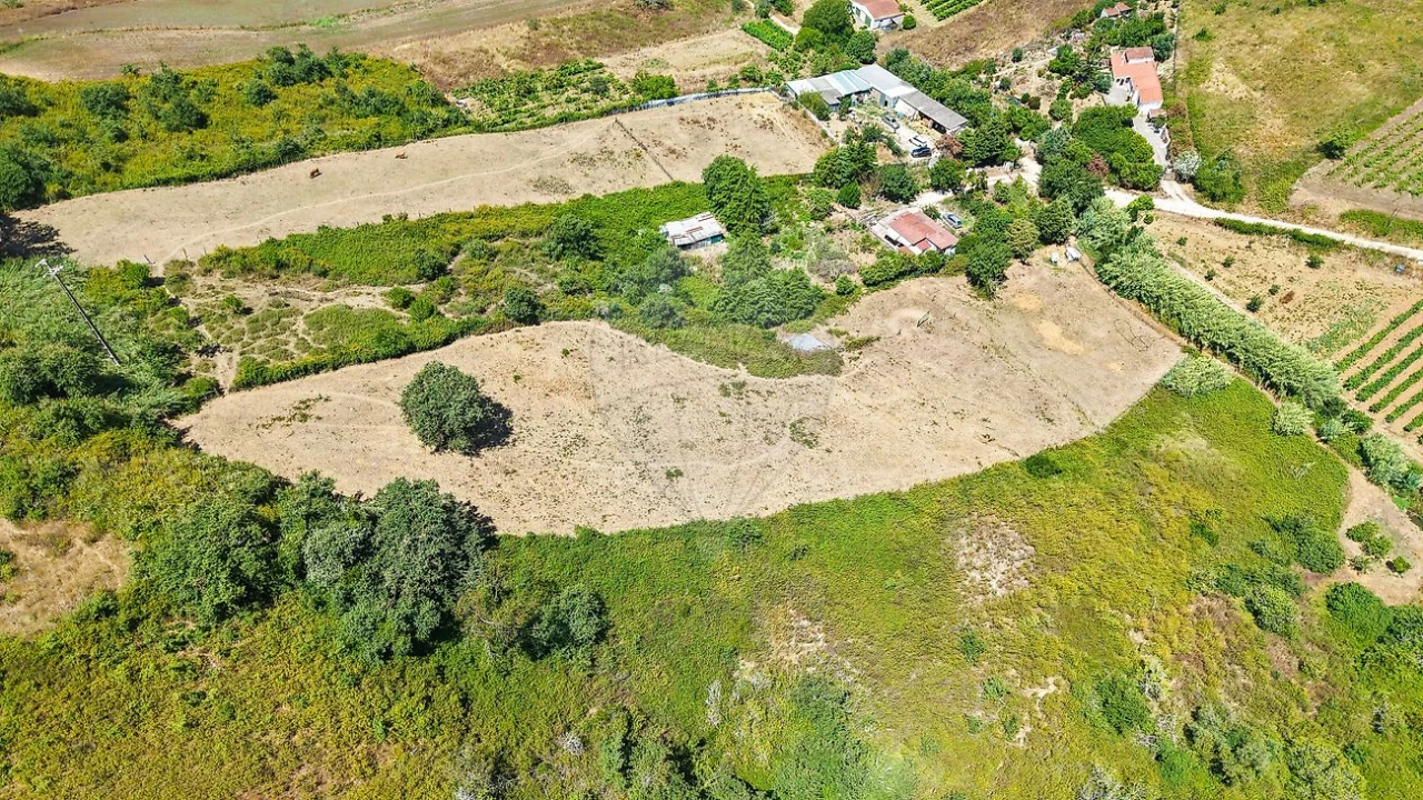 Terreno para Venda em Dois Portos e Runa Foto 7