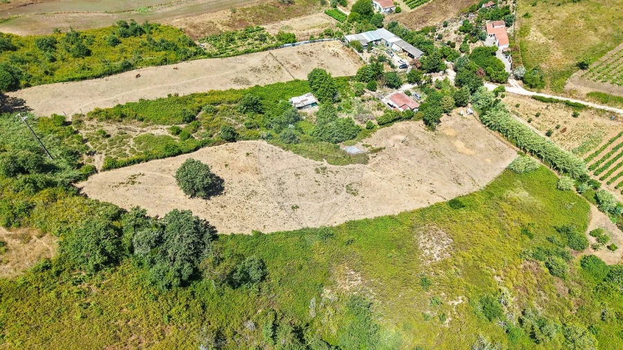 Terreno para Venda em Dois Portos e Runa Foto 7