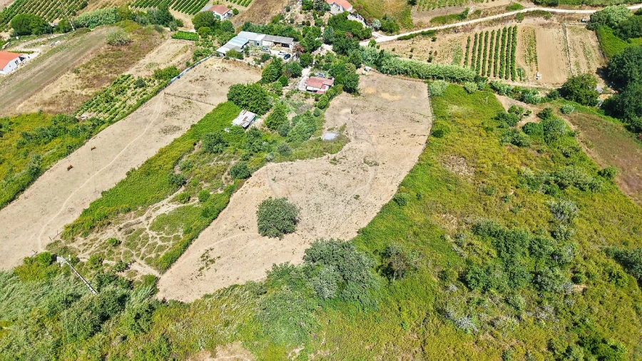 Terreno para Venda em Dois Portos e Runa Foto 6