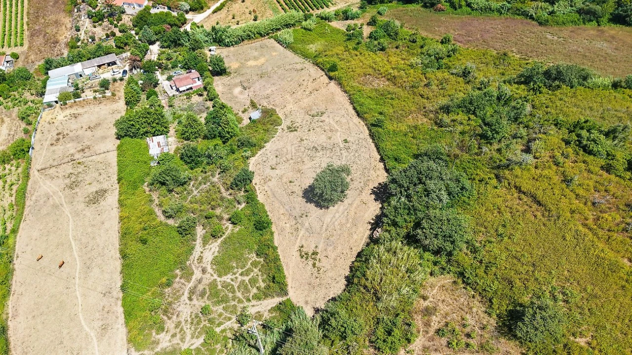 Terreno para Venda em Dois Portos e Runa Foto 4