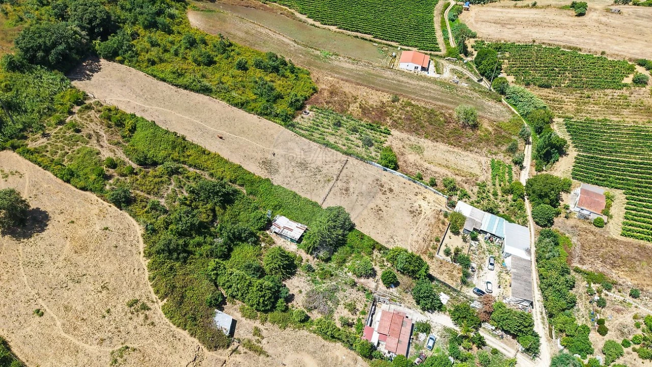 Terreno para Venda em Dois Portos e Runa Foto 5