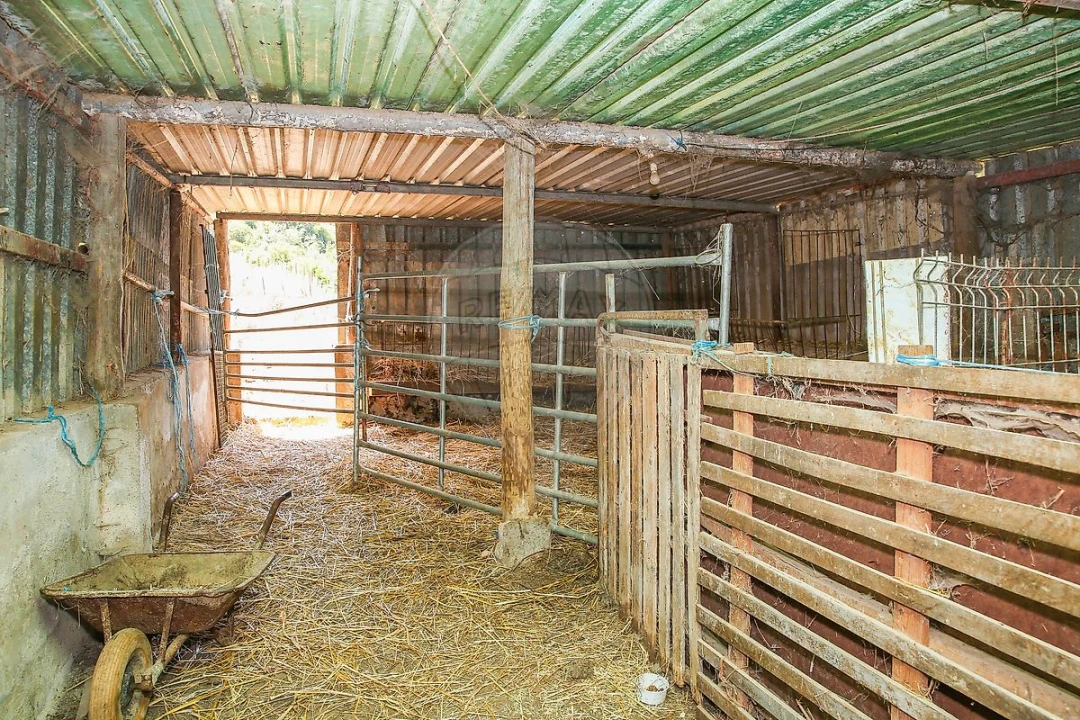 Terreno para Venda em Dois Portos e Runa Foto 13