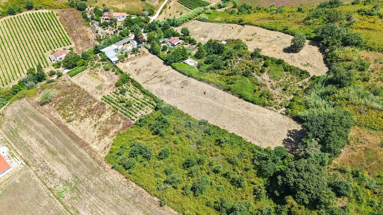 Terreno para Venda em Dois Portos e Runa Foto 6