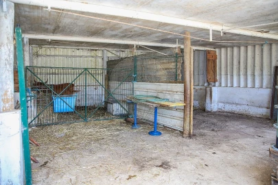 Terreno para Venda em Dois Portos e Runa