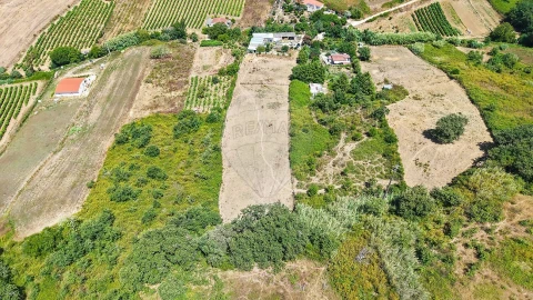 Terreno para Venda em Dois Portos e Runa