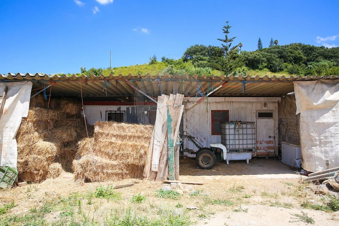 Terreno para Venda em Dois Portos e Runa Foto 14