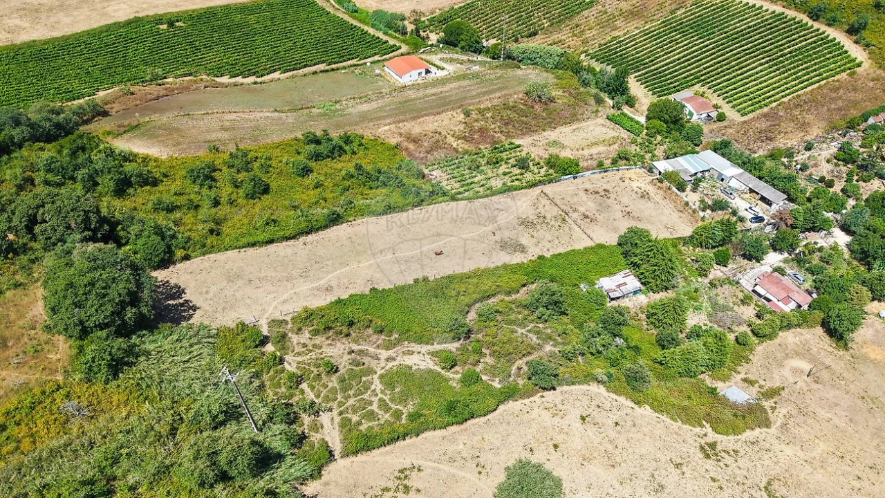 Terreno para Venda em Dois Portos e Runa Foto 3