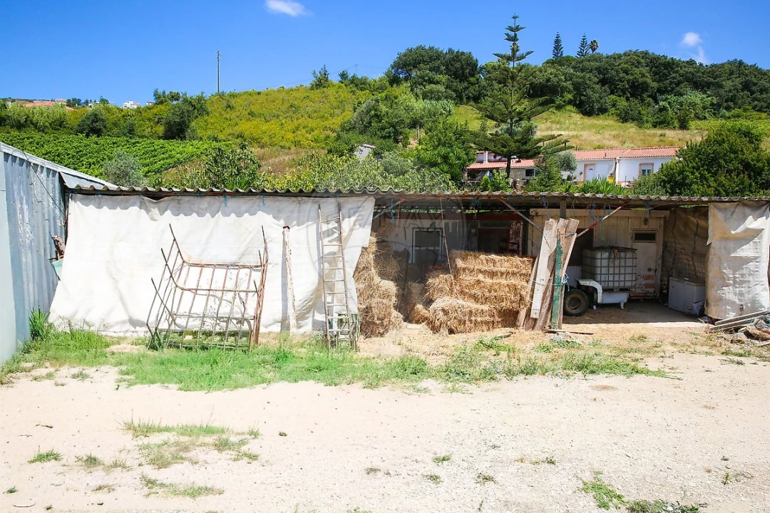 Terreno para Venda em Dois Portos e Runa Foto 16