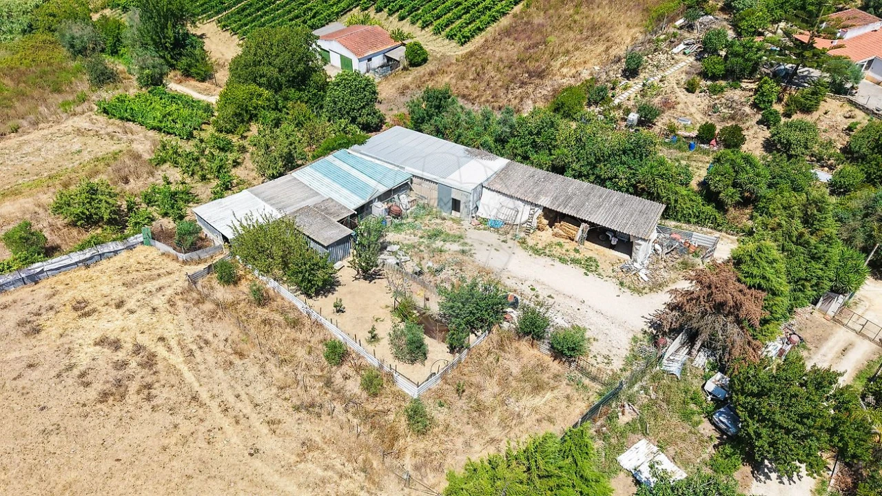 Terreno para Venda em Dois Portos e Runa Foto 9