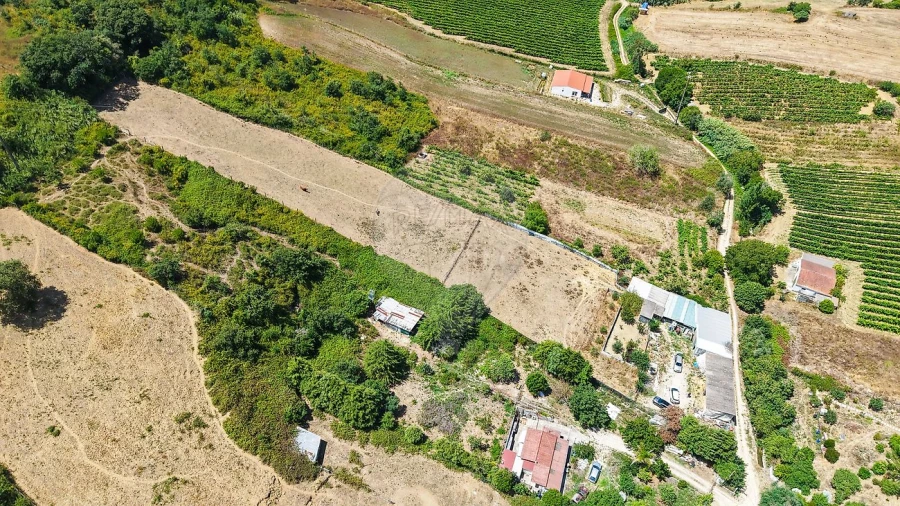 Terreno para Venda em Dois Portos e Runa Foto 5