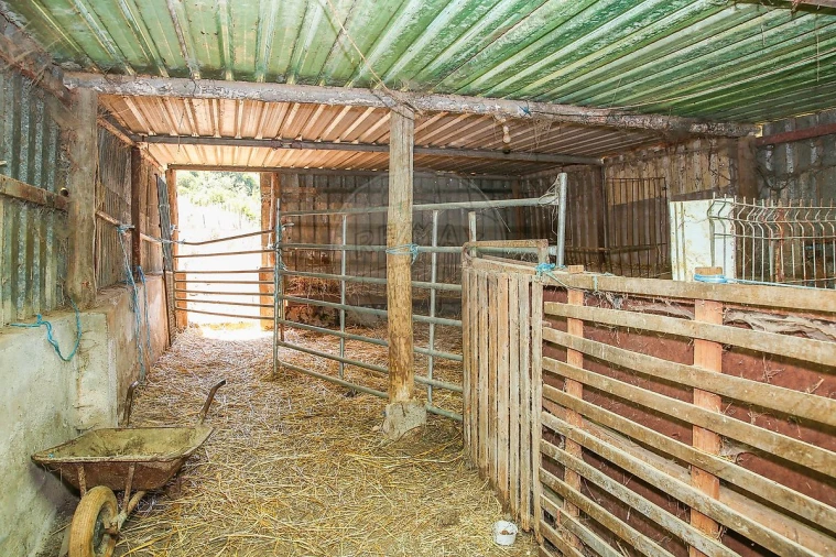 Terreno para Venda em Dois Portos e Runa Foto 13
