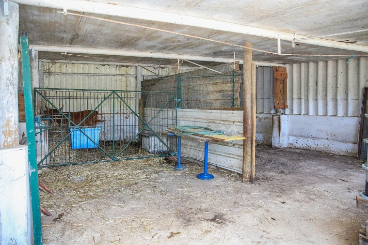 Terreno para Venda em Dois Portos e Runa Foto 12