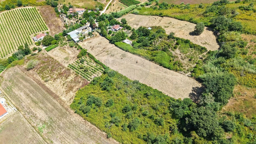 Terreno para Venda em Dois Portos e Runa Foto 6