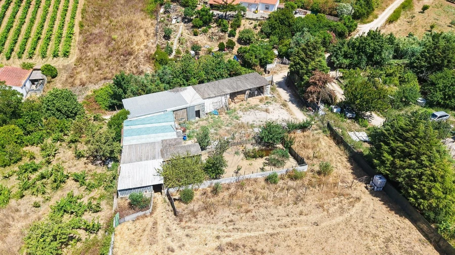 Terreno para Venda em Dois Portos e Runa Foto 8