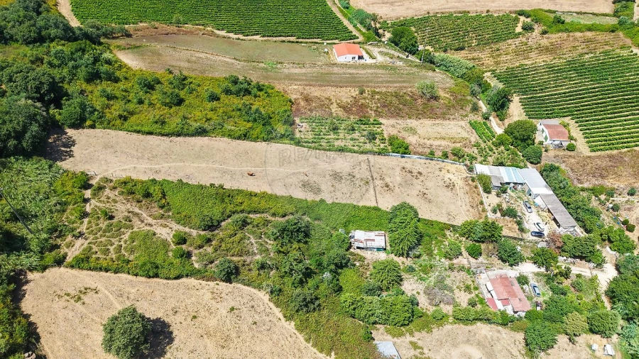 Terreno para Venda em Dois Portos e Runa Foto 4
