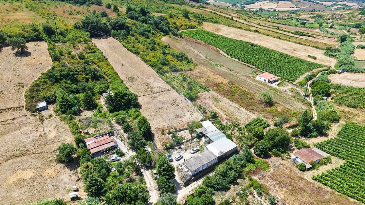 Terreno para Venda em Dois Portos e Runa Foto 2