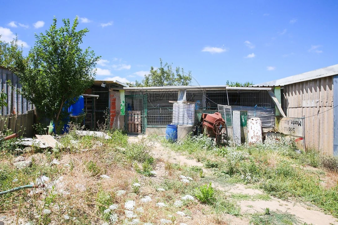 Terreno para Venda em Dois Portos e Runa Foto 15