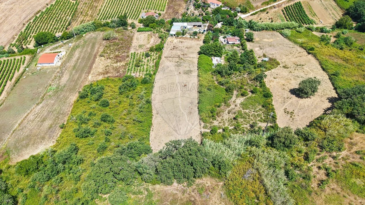 Terreno para Venda em Dois Portos e Runa Foto 7