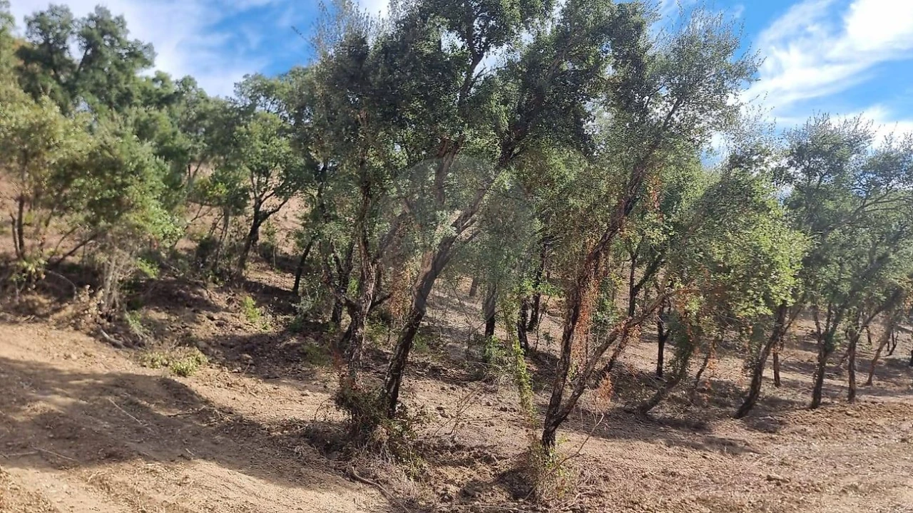 Terreno para Venda em Vale do Paraiso Foto 10