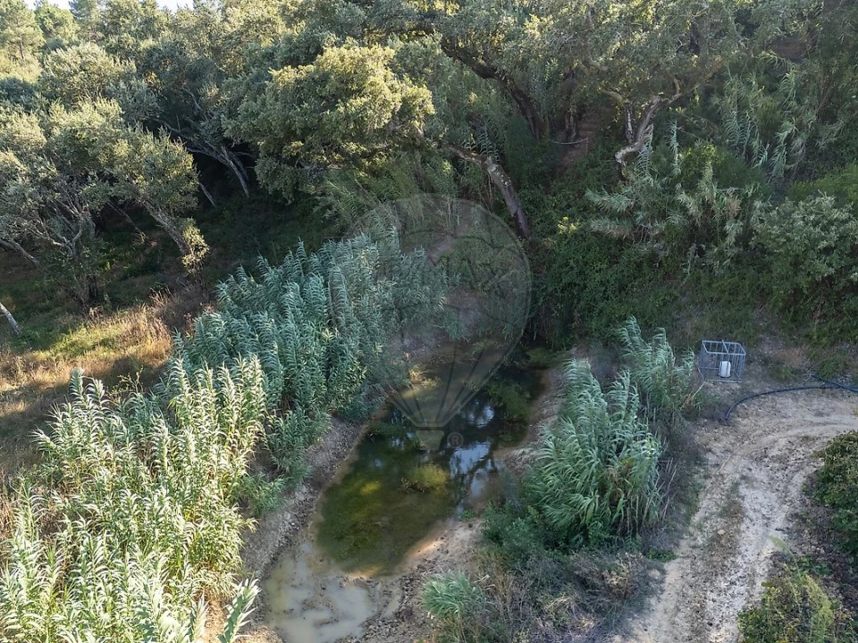 Terreno para Venda em Vale do Paraiso Foto 19