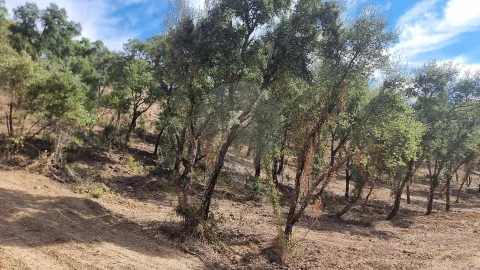 Terreno para Venda em Vale do Paraiso