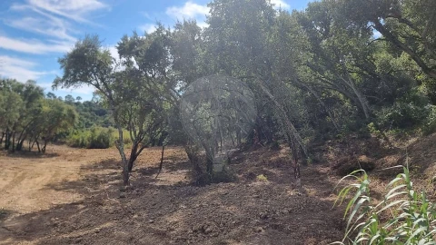 Terreno para Venda em Vale do Paraiso