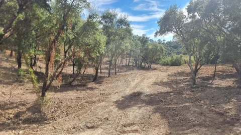Terreno para Venda em Vale do Paraiso