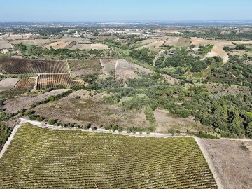 Terreno para Venda em Vale do Paraiso