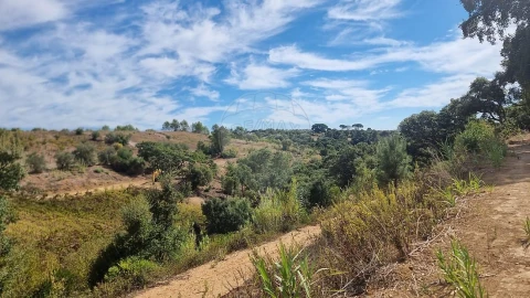 Terreno para Venda em Vale do Paraiso