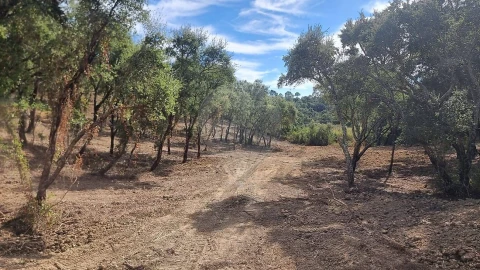 Terreno para Venda em Vale do Paraiso
