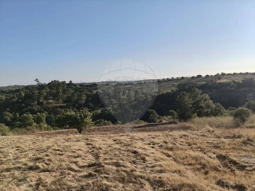 Terreno para Venda em Vale do Paraiso