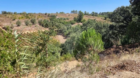 Terreno para Venda em Vale do Paraiso