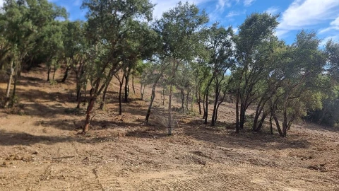 Terreno para Venda em Vale do Paraiso