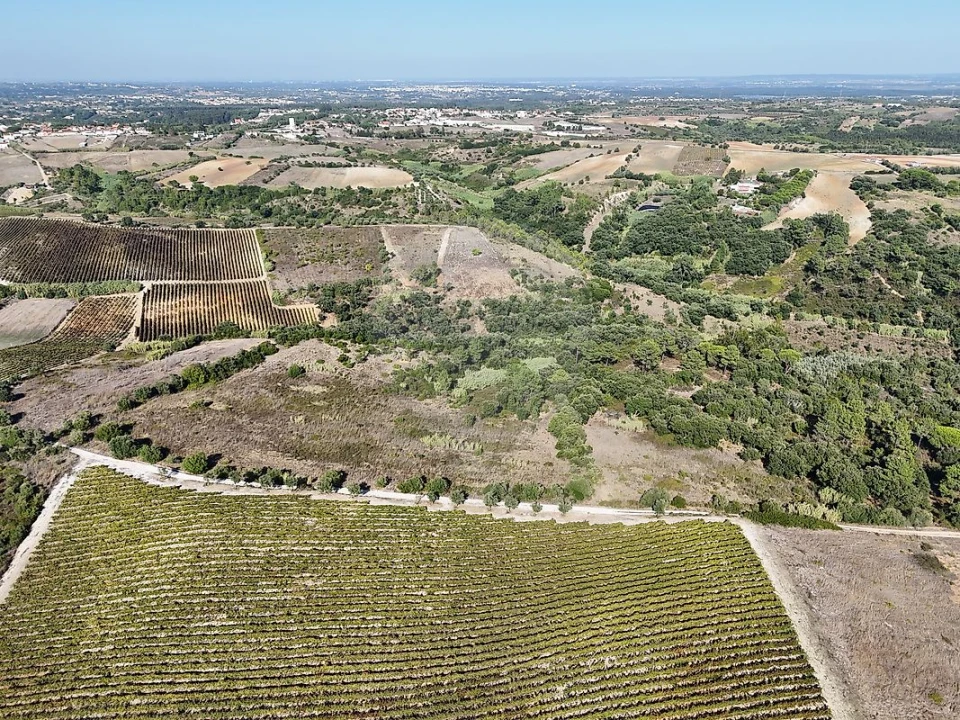 Terreno para Venda em Vale do Paraiso Foto 20
